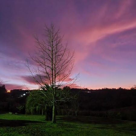 Loft No Campo Proximo Ao Vale Dos Vinhedos Villa Garibaldi Eksteriør bilde