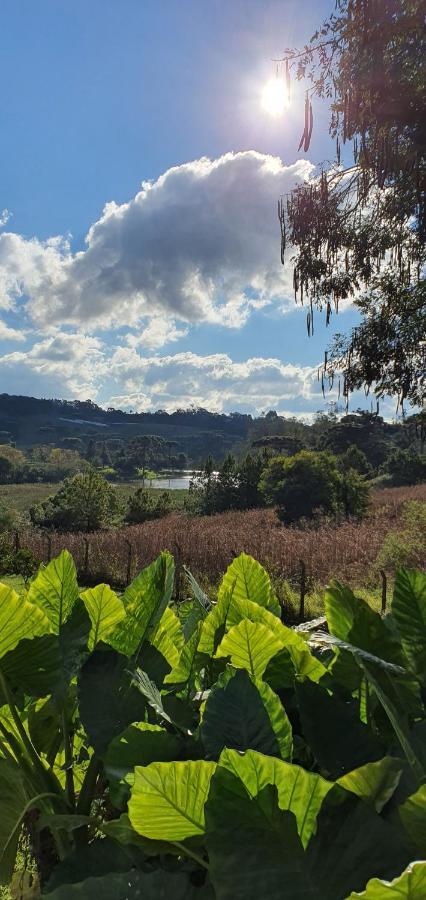 Loft No Campo Proximo Ao Vale Dos Vinhedos Villa Garibaldi Eksteriør bilde