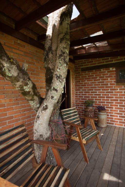 Loft No Campo Proximo Ao Vale Dos Vinhedos Villa Garibaldi Eksteriør bilde
